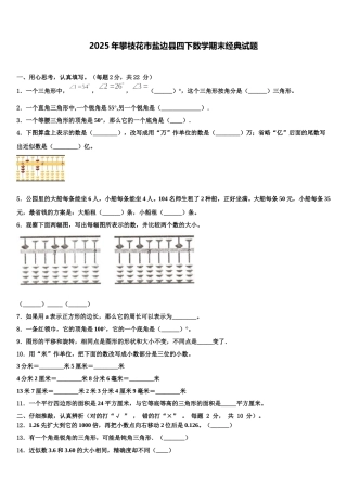 2025年攀枝花市盐边县四下数学期末经典试题含解析