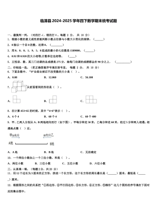 临漳县2024-2025学年四下数学期末统考试题含解析
