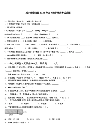 咸宁市崇阳县2025年四下数学期末考试试题含解析