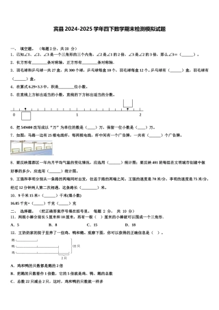 宾县2024-2025学年四下数学期末检测模拟试题含解析
