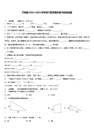 宁明县2024-2025学年四下数学期末复习检测试题含解析