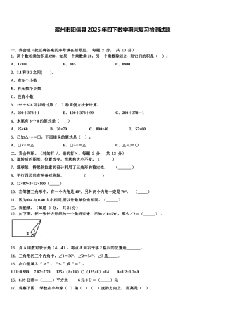 滨州市阳信县2025年四下数学期末复习检测试题含解析