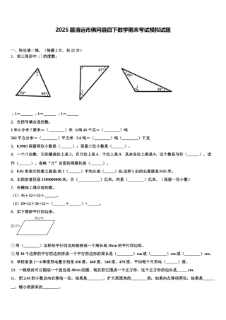 2025届清远市佛冈县四下数学期末考试模拟试题含解析