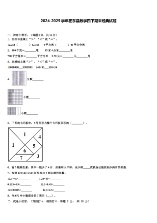 2024-2025学年肥东县数学四下期末经典试题含解析