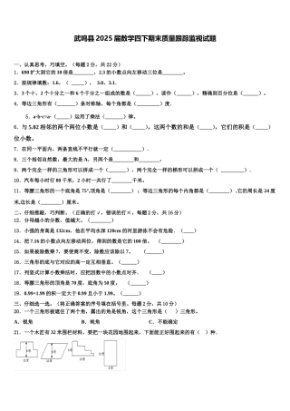 武鸣县2025届数学四下期末质量跟踪监视试题含解析