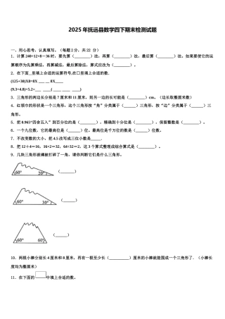 2025年抚远县数学四下期末检测试题含解析