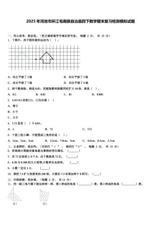 2025年河池市环江毛南族自治县四下数学期末复习检测模拟试题含解析
