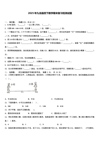 2025年九龙县四下数学期末复习检测试题含解析