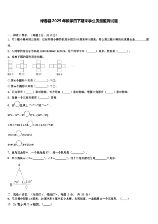 绿春县2025年数学四下期末学业质量监测试题含解析