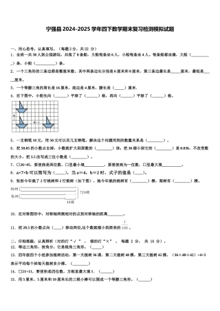 宁强县2024-2025学年四下数学期末复习检测模拟试题含解析