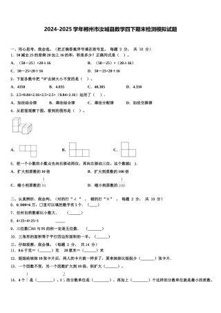 2024-2025学年郴州市汝城县数学四下期末检测模拟试题含解析