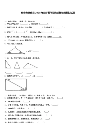 邢台市巨鹿县2025年四下数学期末达标检测模拟试题含解析
