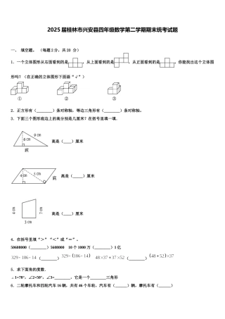 2025届桂林市兴安县四年级数学第二学期期末统考试题含解析