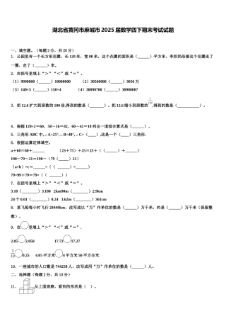 湖北省黄冈市麻城市2025届数学四下期末考试试题含解析