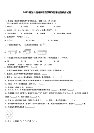 2025届湖北省咸宁市四下数学期末检测模拟试题含解析