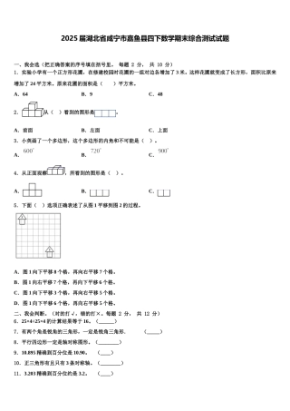 2025届湖北省咸宁市嘉鱼县四下数学期末综合测试试题含解析