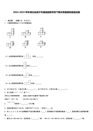 2024-2025学年湖北省咸宁市通城县数学四下期末质量跟踪监视试题含解析