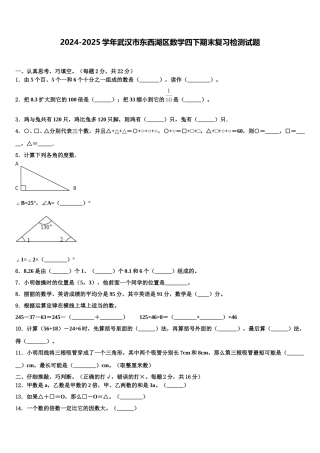 2024-2025学年武汉市东西湖区数学四下期末复习检测试题含解析