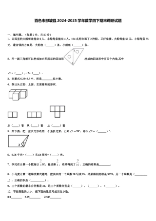 百色市那坡县2024-2025学年数学四下期末调研试题含解析
