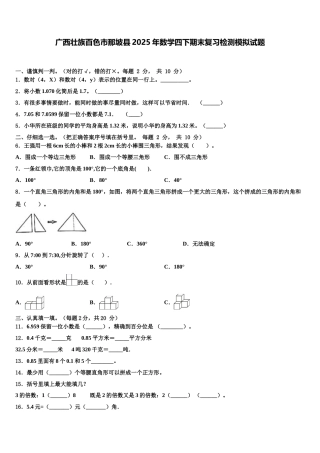 广西壮族百色市那坡县2025年数学四下期末复习检测模拟试题含解析