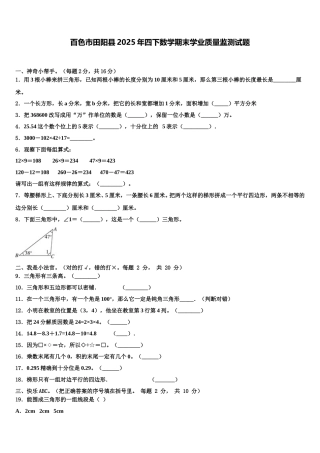 百色市田阳县2025年四下数学期末学业质量监测试题含解析