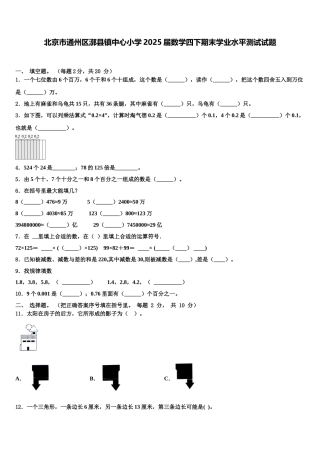北京市通州区漷县镇中心小学2025届数学四下期末学业水平测试试题含解析