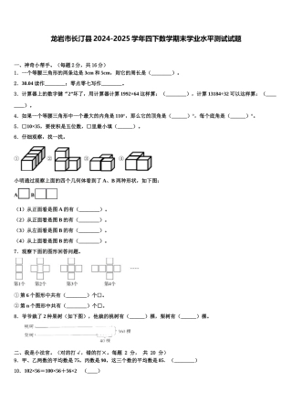 龙岩市长汀县2024-2025学年四下数学期末学业水平测试试题含解析