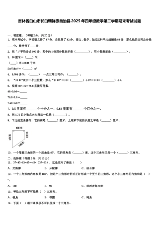 吉林省白山市长白朝鲜族自治县2025年四年级数学第二学期期末考试试题含解析