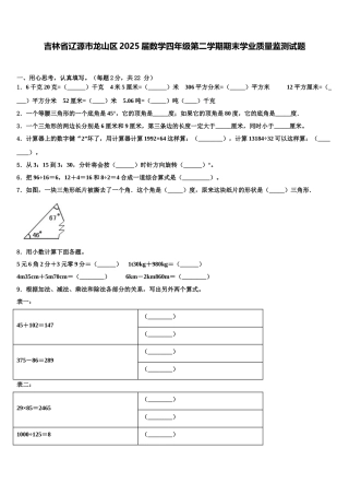 吉林省辽源市龙山区2025届数学四年级第二学期期末学业质量监测试题含解析