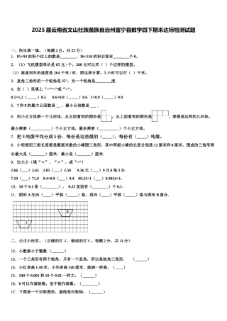 2025届云南省文山壮族苗族自治州富宁县数学四下期末达标检测试题含解析