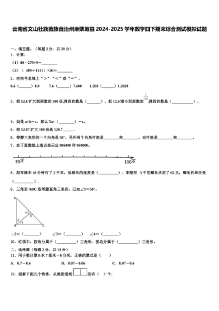 云南省文山壮族苗族自治州麻栗坡县2024-2025学年数学四下期末综合测试模拟试题含解析
