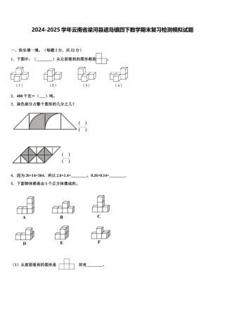 2024-2025学年云南省梁河县遮岛镇四下数学期末复习检测模拟试题含解析