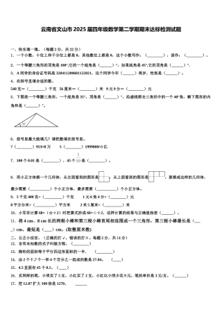 云南省文山市2025届四年级数学第二学期期末达标检测试题含解析