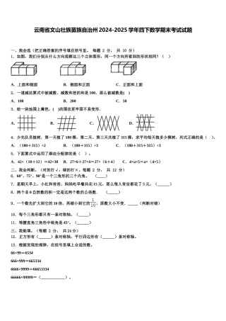 云南省文山壮族苗族自治州2024-2025学年四下数学期末考试试题含解析