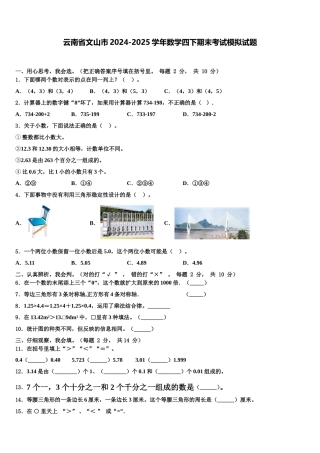 云南省文山市2024-2025学年数学四下期末考试模拟试题含解析