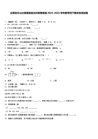 云南省文山壮族苗族自治州麻栗坡县2024-2025学年数学四下期末检测试题含解析