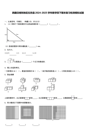 西藏日喀则地区拉孜县2024-2025学年数学四下期末复习检测模拟试题含解析