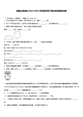 西藏山南地区2024-2025学年数学四下期末检测模拟试题含解析