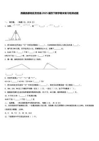 西藏昌都地区贡觉县2025届四下数学期末复习检测试题含解析