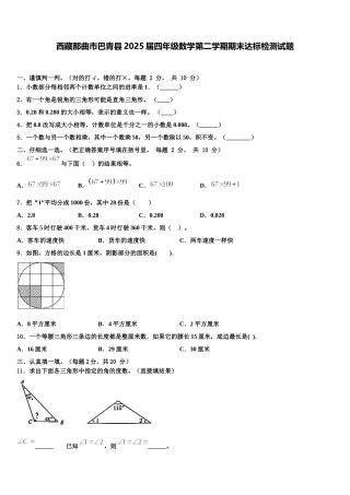 西藏那曲市巴青县2025届四年级数学第二学期期末达标检测试题含解析
