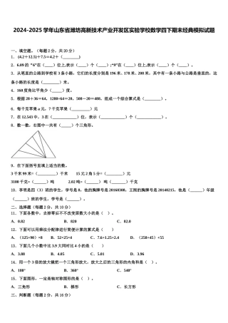 2024-2025学年山东省潍坊高新技术产业开发区实验学校数学四下期末经典模拟试题含解析