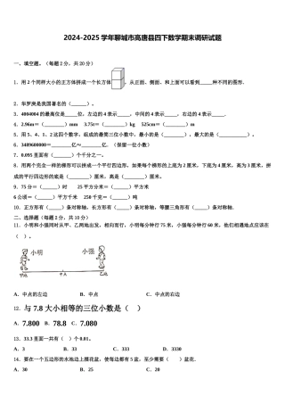 2024-2025学年聊城市高唐县四下数学期末调研试题含解析