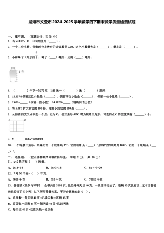 威海市文登市2024-2025学年数学四下期末教学质量检测试题含解析