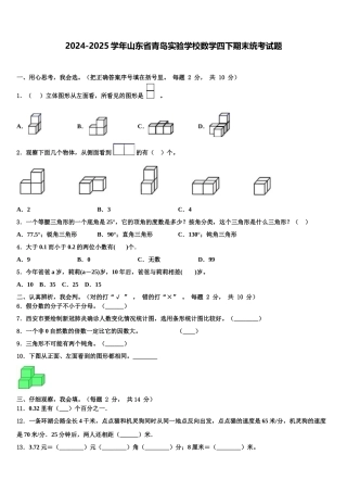 2024-2025学年山东省青岛实验学校数学四下期末统考试题含解析