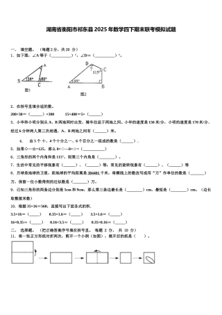 湖南省衡阳市祁东县2025年数学四下期末联考模拟试题含解析