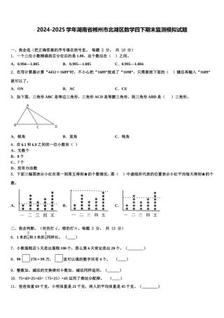 2024-2025学年湖南省郴州市北湖区数学四下期末监测模拟试题含解析