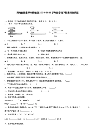 湖南省张家界市桑植县2024-2025学年数学四下期末预测试题含解析