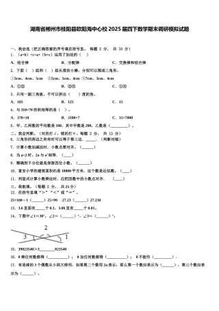 湖南省郴州市桂阳县欧阳海中心校2025届四下数学期末调研模拟试题含解析