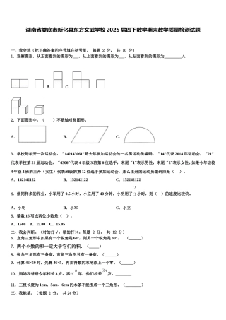 湖南省娄底市新化县东方文武学校2025届四下数学期末教学质量检测试题含解析