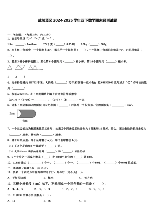 武陵源区2024-2025学年四下数学期末预测试题含解析